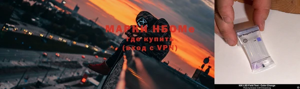 ГАЛЛЮЦИНОГЕННЫЕ ГРИБЫ Майский