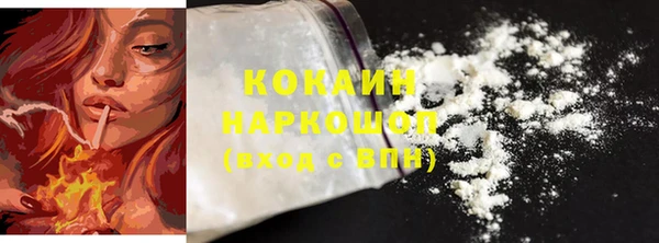тгк Магас