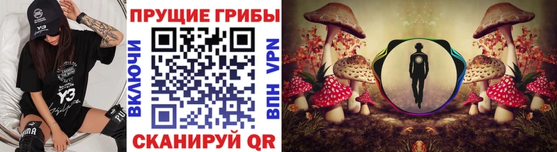 Псилоцибиновые грибы мицелий Новомичуринск